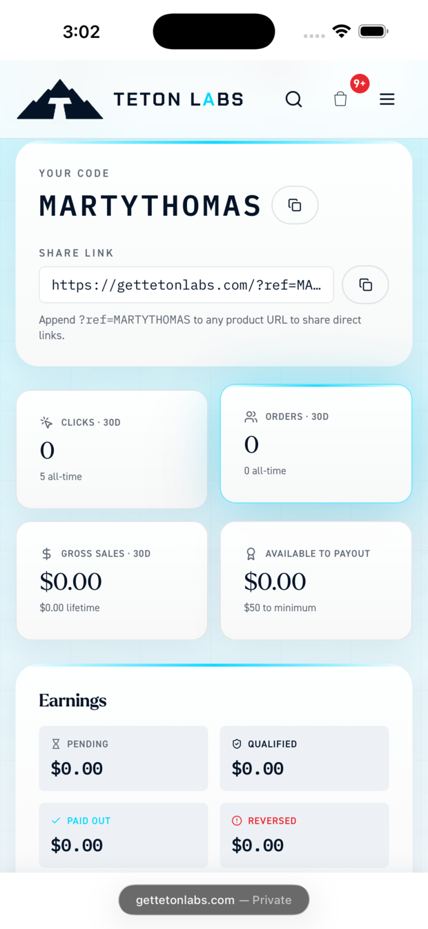 An affiliate dashboard